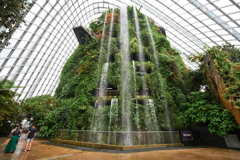 Cloud Forest at Garden by the Bay