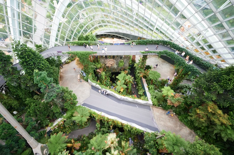 Cloud Forest at Garden by the Bay